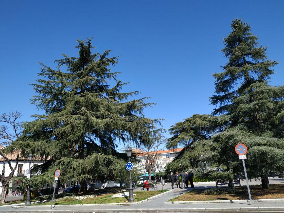 מדריד Apartamentos Deluxe Barajas מראה חיצוני תמונה